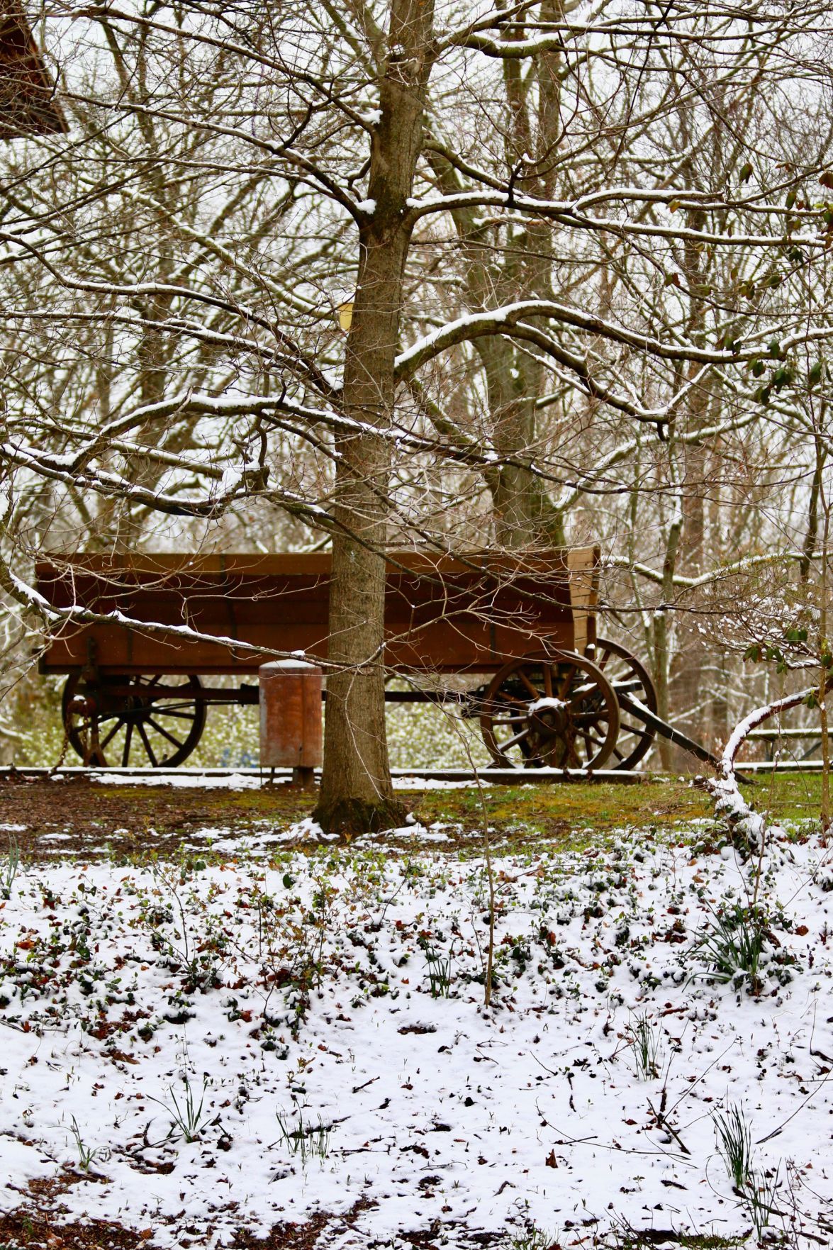 Deep River snow